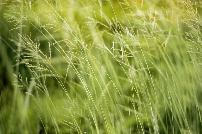 Eco-Friendly Materials